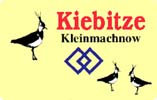 Kiebitze-kleinmachnow