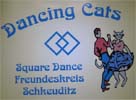 dancing-cats-schkeuditz